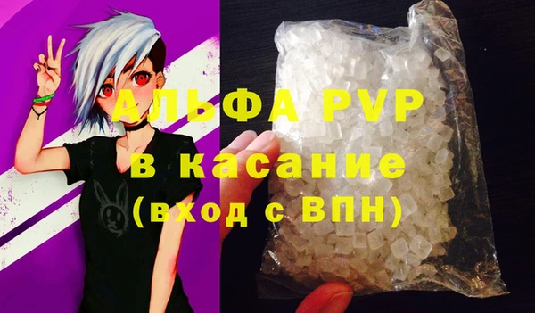 дживик Корсаков