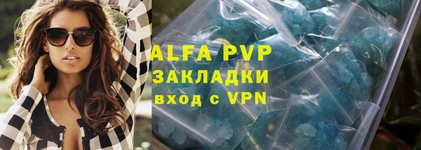 дживик Корсаков