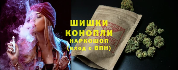 амф Коряжма