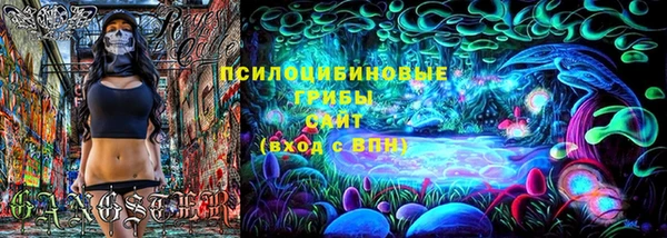 дживик Корсаков