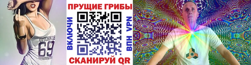 Псилоцибиновые грибы Cubensis  Купить  Верхнеуральск 